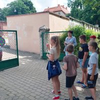 Dzieci rzucają piłeczkami z rzepem do tarczy zawieszonej na bramie.