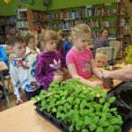 bibliotekarka pokazuje dzieciom jak umieścić nasiona w ziemi którą nasypały do doniczek