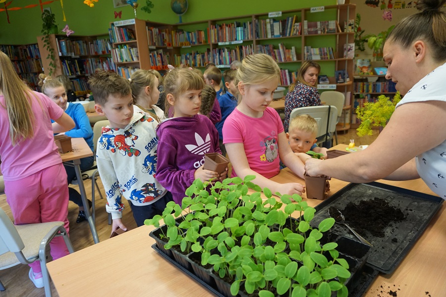 bibliotekarka pokazuje dzieciom jak umieścić nasiona w ziemi którą nasypały do doniczek