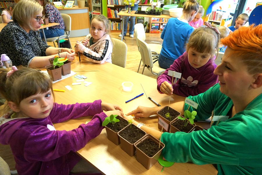 dzieci, rodzice, bibliotekarka zebrani przy stole naklejają etykiety na doniczki z posadzonymi roślinami
