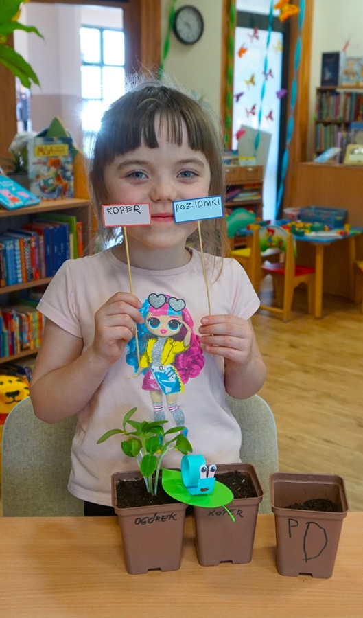 dziewczynka przed nią stojatrzy doniczki, dziecko w rękach trzyma dwie tabliczki jedna z napisem koper druga z napisem poziomka